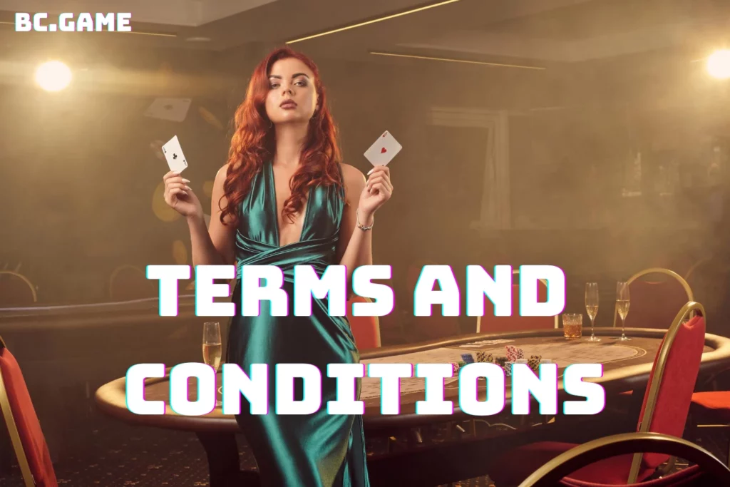 Terms and Conditions